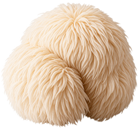 Lion's Mane